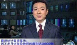 天涯爆料康辉视频播放,揭秘幕后真相，天涯爆料引发热议